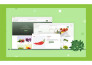 do your wordpress ecommerce store online store woocommerce website design